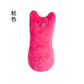 Catnip Bite Toy for Cats – Interactive Chew & Dental Cleaning Plush Toy