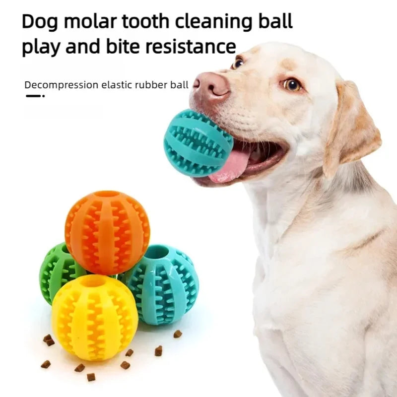 Interactive Dog Chew Ball | Treat Dispensing Dental Cleaning Toy for Dogs & Puppies