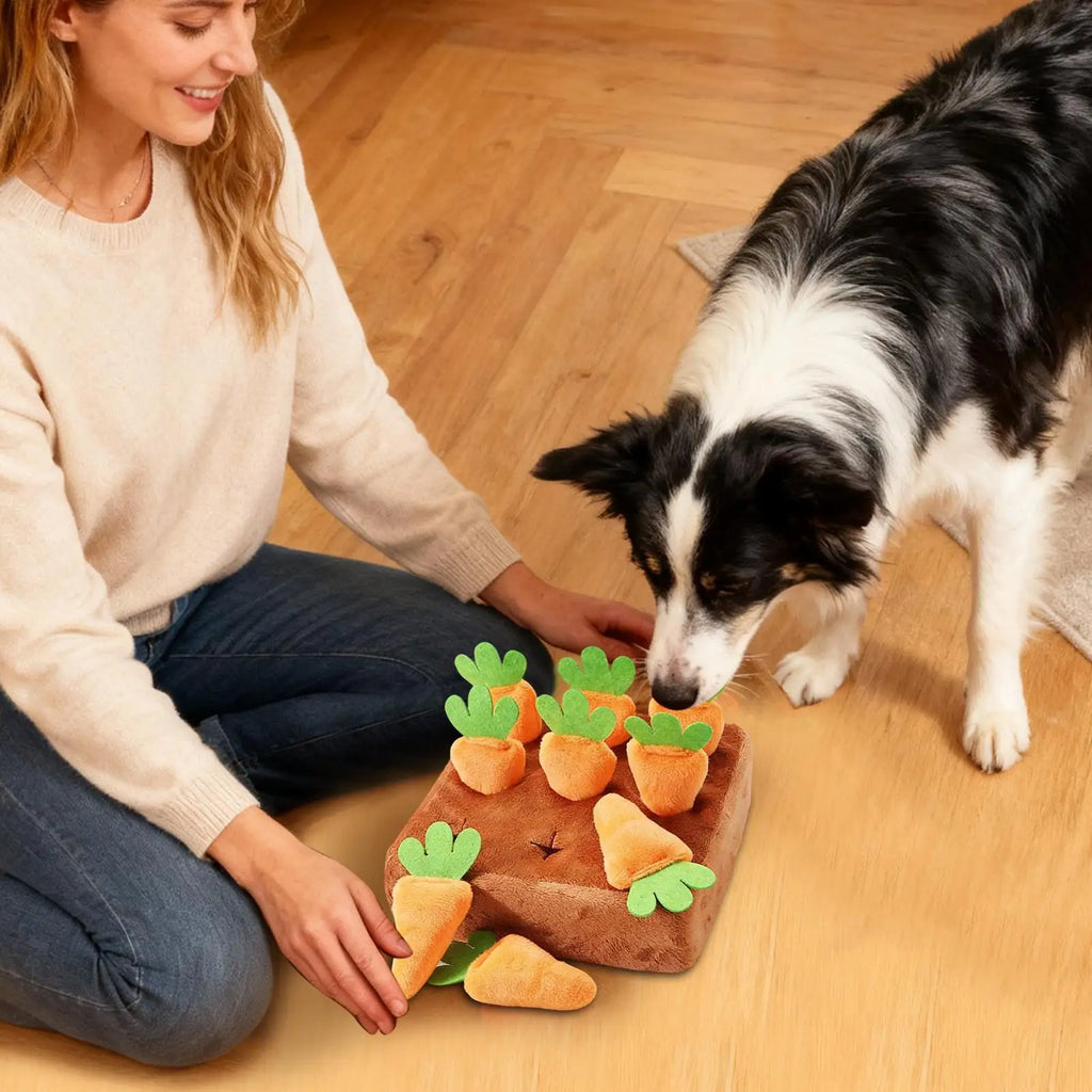 Dog Snuffle Mat with Carrots – Interactive Treat Puzzle & Slow Feeder