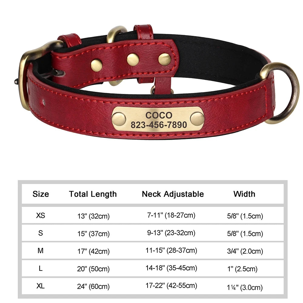 Personalisiertes, gepolstertes Lederhalsband für Hunde mit graviertem Namensschild – Individuelles ID-Halsband für kleine, mittelgroße und große Hunde