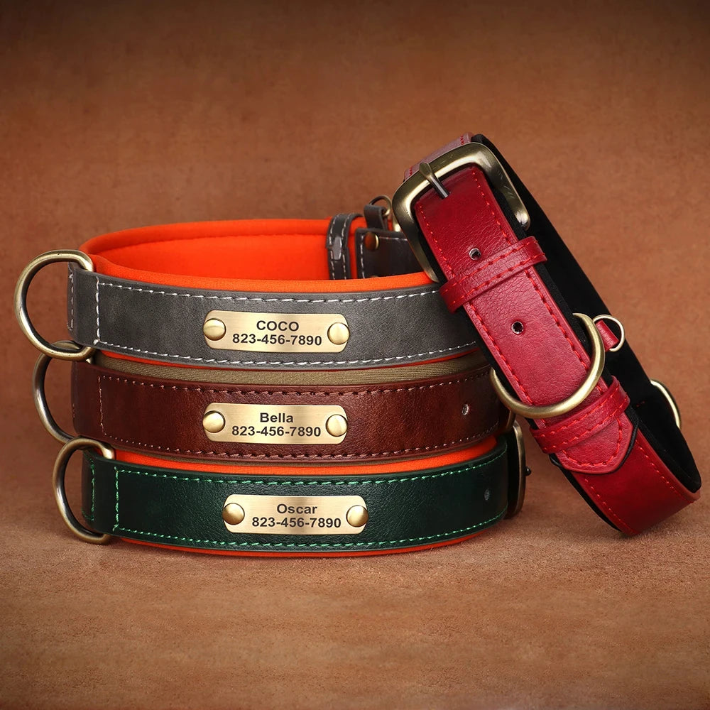 Personalisiertes, gepolstertes Lederhalsband für Hunde mit graviertem Namensschild – Individuelles ID-Halsband für kleine, mittelgroße und große Hunde