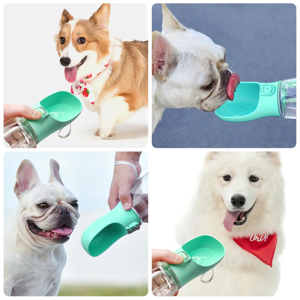 Portable Leakproof Dog Water Bottle for Walks & Travel