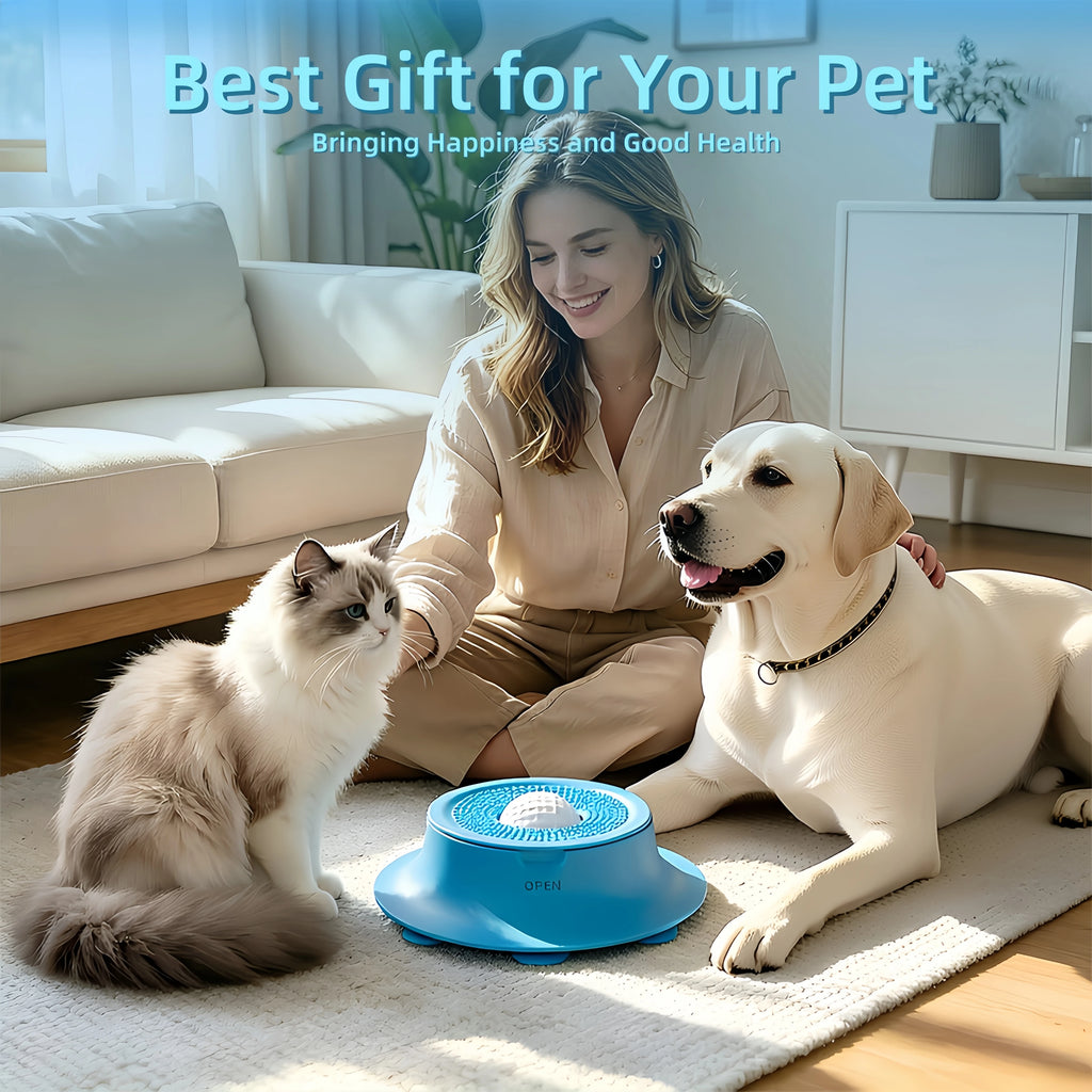 Silicone Slow Feeder Bowl for Dogs & Cats | Suction Cup Anti-Gulp Pet Bowl