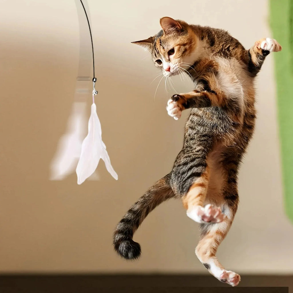 Interactive Cat Teaser Wand Toy with Suction Cup & Feather