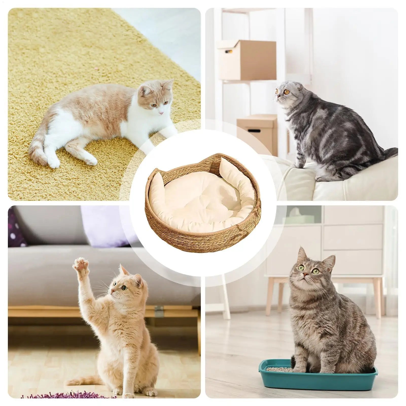 Cozy Cotton Rope Cat Bed with Soft Cushion – Round Woven Pet Basket