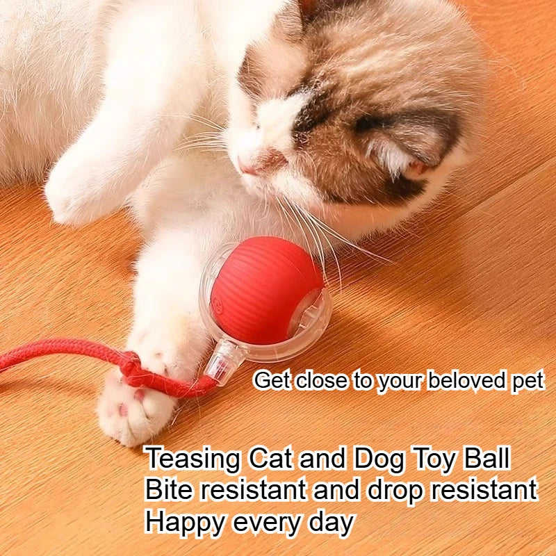 Interactive Suction Cup Cat Toy Ball – Self-Play Teaser Toy