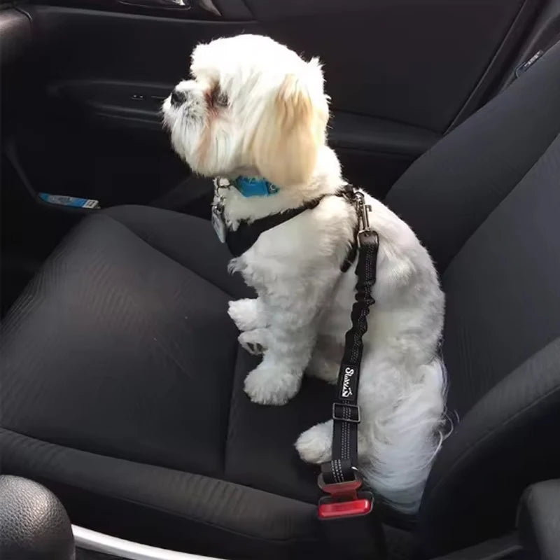 Adjustable Dog Car Safety Seat Belt with Shock Absorbing Bungee