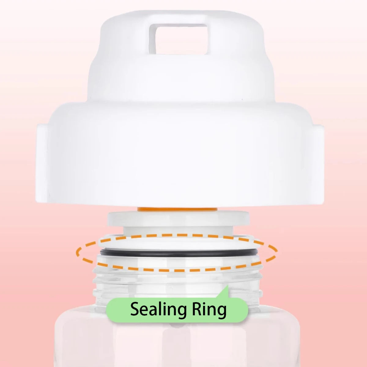 2-in-1 Travel Water Bottle & Food Container for Dogs