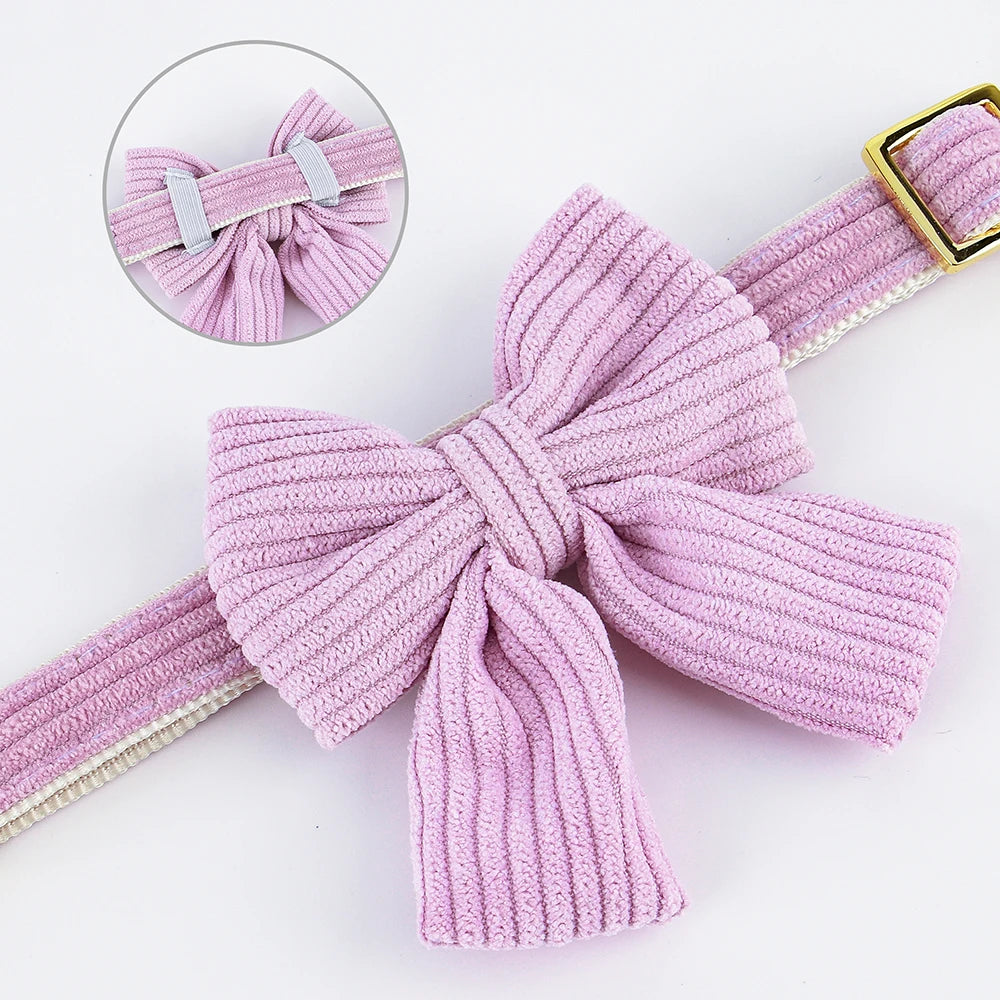 Personalisiertes Hundehalsband mit Schleife – Individuell graviertes Tier-ID-Halsband für kleine & mittelgroße Hunde, verstellbares Welpenhalsband