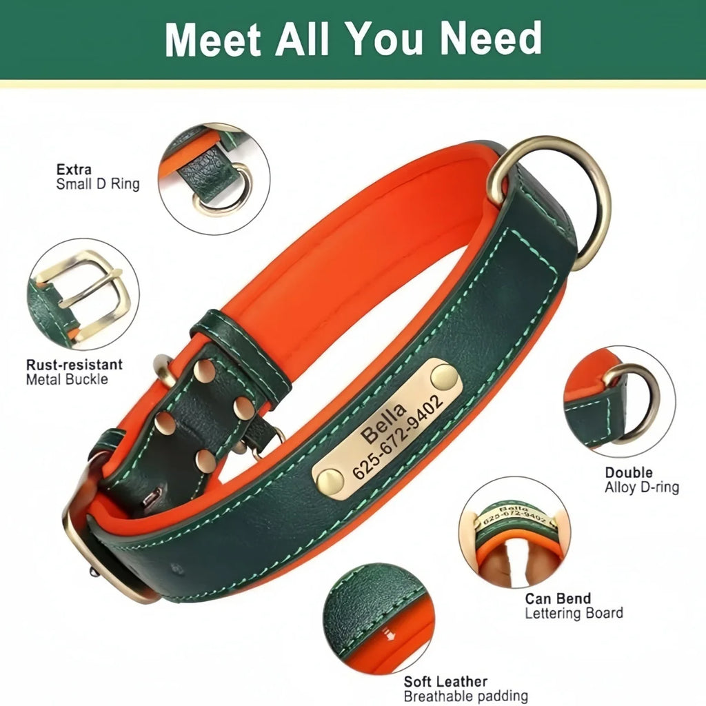 Personalisiertes, gepolstertes Lederhalsband für Hunde mit graviertem Namensschild – Individuelles ID-Halsband für kleine, mittelgroße und große Hunde