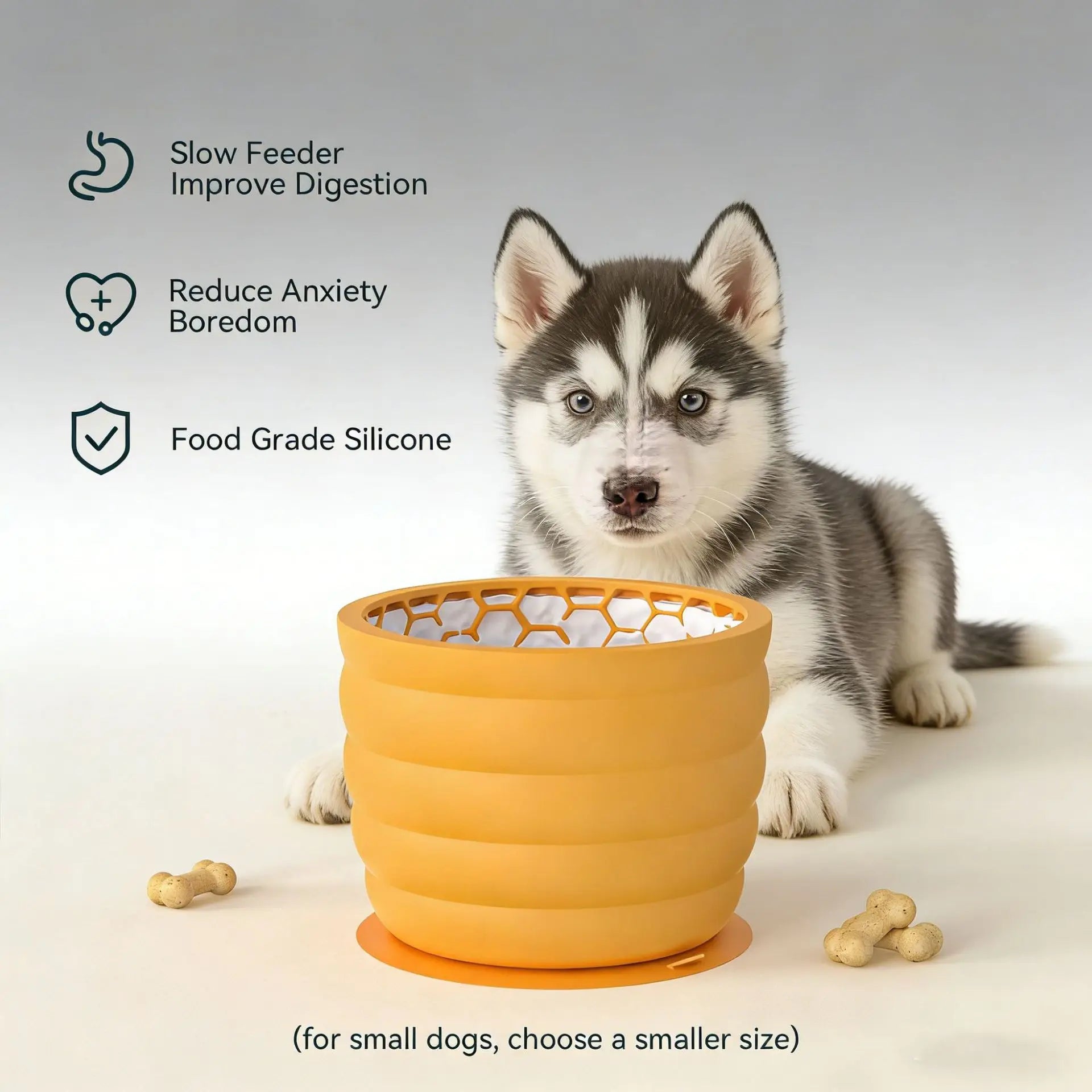 Premium Silicone Slow Feeder Bowl | Non-Slip Suction Base for Dogs