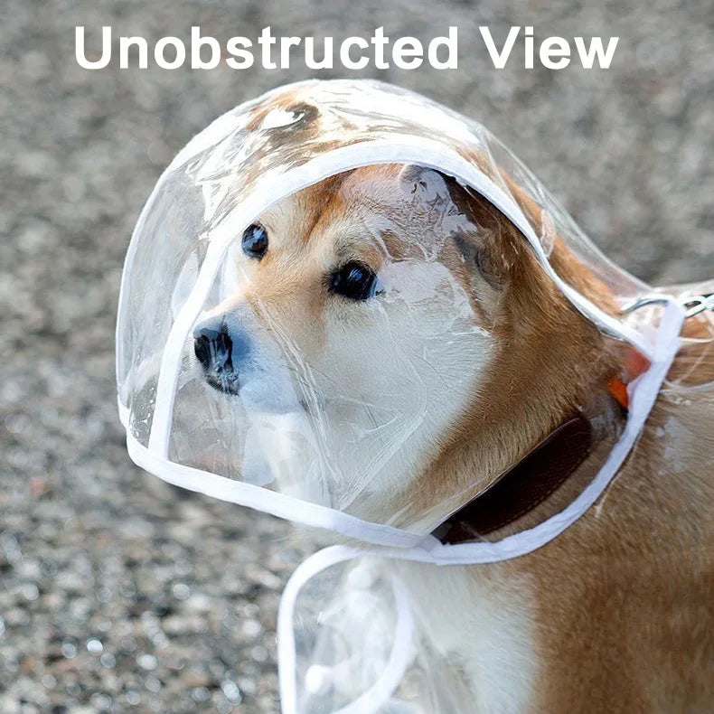 Pet Raincoat Transparent Dog Raincoat Waterproof and Windproof Pet Clothing Large Dog Pet Dog Dog Costume