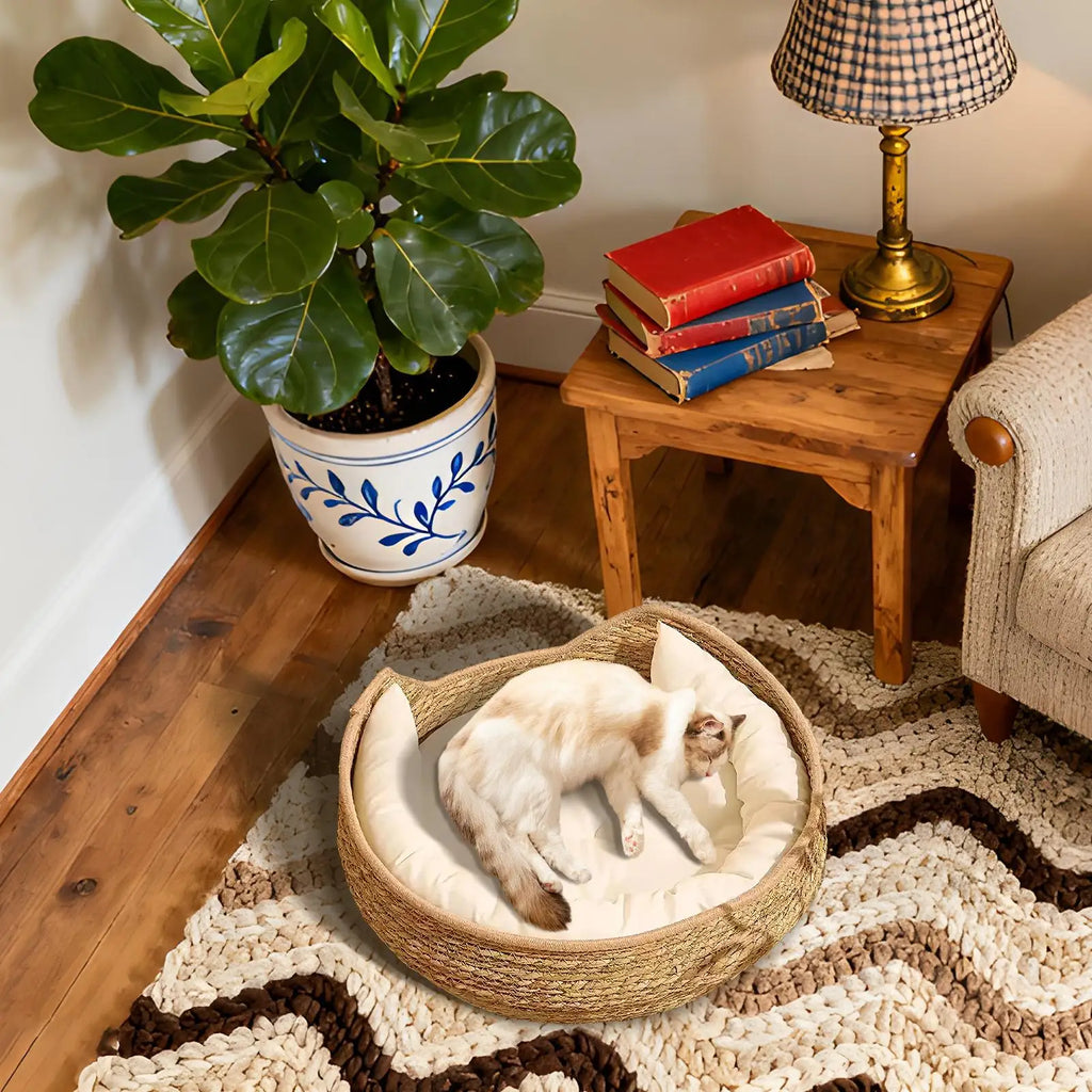 Cozy Cotton Rope Cat Bed with Soft Cushion – Round Woven Pet Basket
