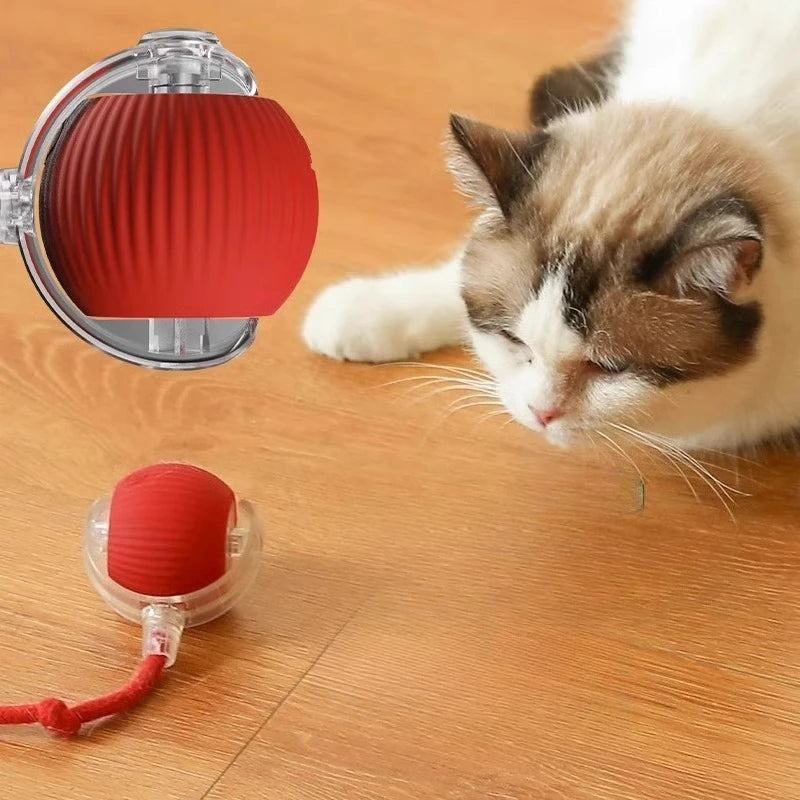 Interactive Suction Cup Cat Toy Ball – Self-Play Teaser Toy