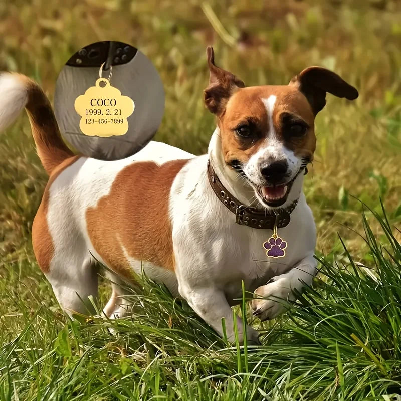 Placa de Identificación Personalizada con Huella de Pata para Mascotas – Chapa Metálica Antirrobo Grabada a Medida con Nombre y Número de Teléfono para Perros y Gatos