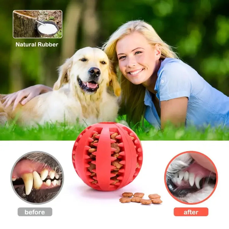 Interactive Dog Chew Ball | Treat Dispensing Dental Cleaning Toy for Dogs & Puppies